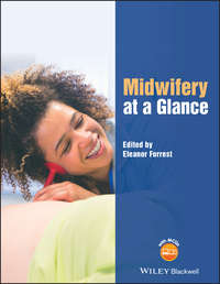 Обложка «Midwifery at a Glance»