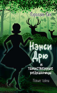 Обложка «Нэнси Дрю и таинственные незнакомцы»