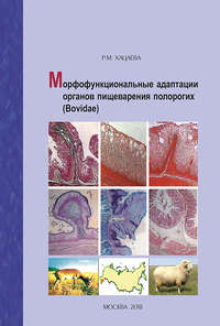 Обложка «Морфофункциональные адаптации органов пищеварения полорогих (Bovidae)»