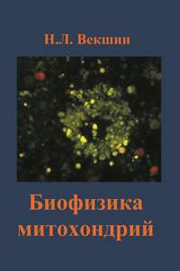 Обложка «Биофизика митохондрий»