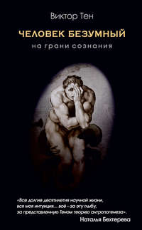 Обложка «Человек безумный. На грани сознания»