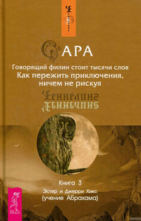 Обложка «Сара. Книга 3. Говорящий филин стоит тысячи слов. Как пережить приключения, ничем не рискуя»