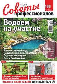 Обложка «Советы профессионалов №06/2019»