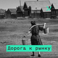 Обложка «Социальное государство: эволюция социальной сферы»