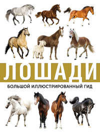 Обложка «Лошади»