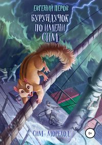 Обложка «Бурундучок по имени Сим. Сим – мореход»