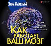 Обложка «Как работает ваш мозг»