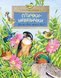 Обложка «Птички-невелички. Кто на свете меньше всех?»