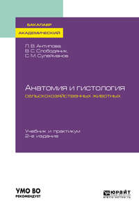 Обложка «Анатомия и гистология сельскохозяйственных животных 2-е изд., пер. и доп. Учебник и практикум для академического бакалавриата»