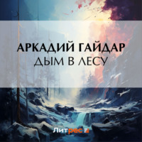 Обложка «Дым в лесу»