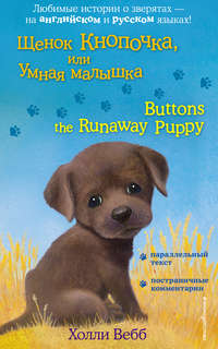 Обложка «Щенок Кнопочка, или Умная малышка / Buttons the Runaway Puppy»