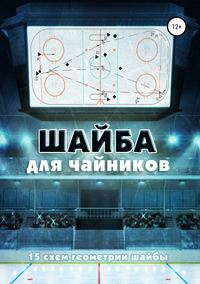 Обложка «Шайба для чайников»