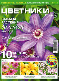 Обложка «Цветники в саду №08/2019»