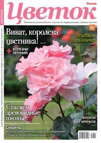 Обложка «Цветок 14-2019»