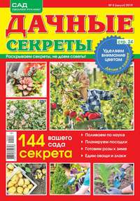 Обложка «Дачные Секреты 08-2019»