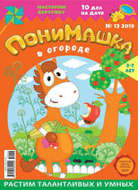 Обложка «ПониМашка №13/2019»