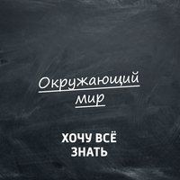 Обложка «Окружающий мир естествоиспытателя. Маркировка продуктов питания»