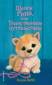 Обложка «Щенок Рина, или Таинственное путешествие»