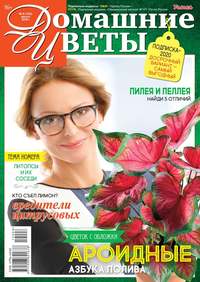 Обложка «Домашние Цветы 08-2019»