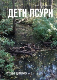 Обложка «Дети Псури. Путевые дневники – 3»