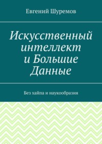 Обложка «Искусственный интеллект и Большие Данные. Без хайпа и наукообразия»