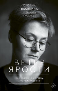 Обложка «Ветер ярости»