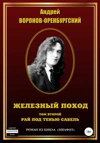 Обложка «Железный поход. Том второй. Рай под тенью сабель»