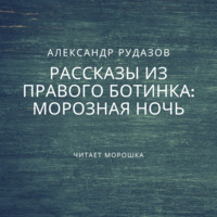 Обложка «Морозная ночь»