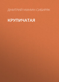 Обложка «Крупичатая»