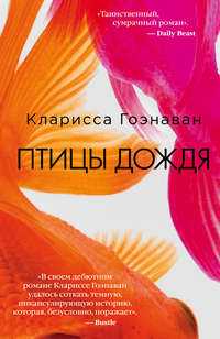 Обложка «Птицы дождя»