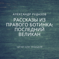 Обложка «Последний великан»