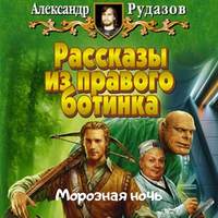 Обложка «Морозная ночь»