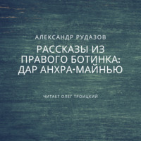 Обложка «Дар Анхра-Майнью»
