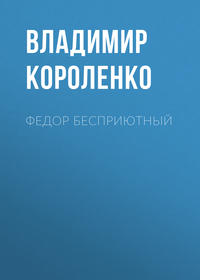 Обложка «Федор Бесприютный»