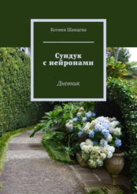 Обложка «Сундук с нейронами. Дневник»