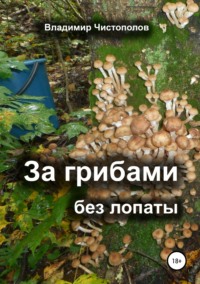 Обложка «За грибами без лопаты»