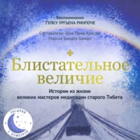Обложка «Блистательное величие. Истории из жизни великих мастеров медитации старого Тибета»