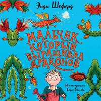 Обложка «Мальчик, который выращивал драконов»