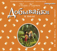 Обложка «Добывайки в поле»