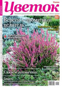 Обложка «Цветок 16-2019»