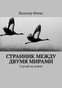 Обложка «Странник между двумя мирами. Случай на войне»