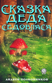 Обложка «Сказка деда Седовласа»