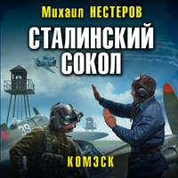Обложка «Сталинский сокол. Комэск»