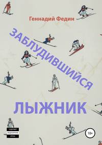 Обложка «Заблудившийся лыжник»