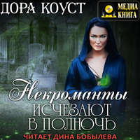 Обложка «Некроманты исчезают в полночь»