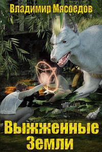 Обложка «Выжженные земли»