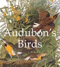 Обложка «Audubon's Birds»