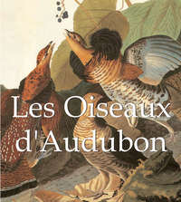 Обложка «Les Oiseaux d'Audubon»