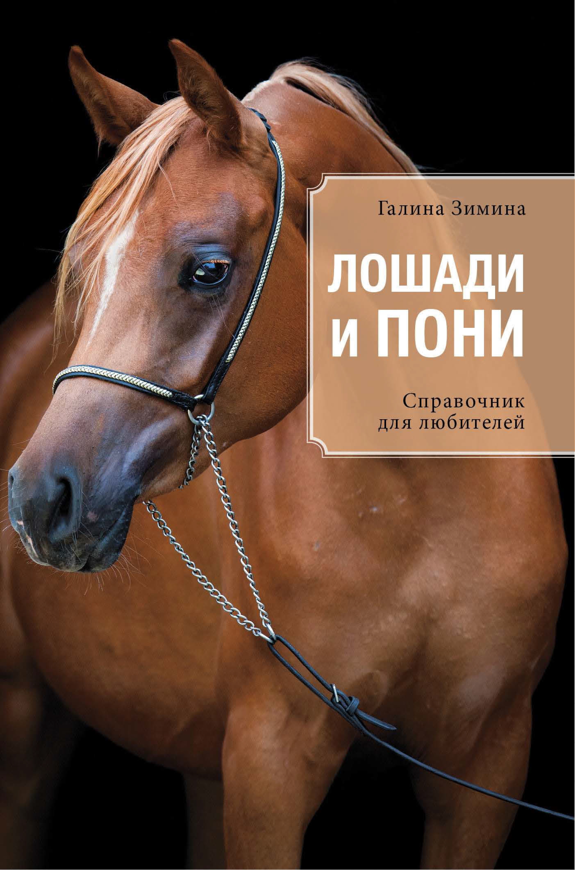 Купить книгу лошади. Лошади и пони Зимина. Обложка книги с лошадью.