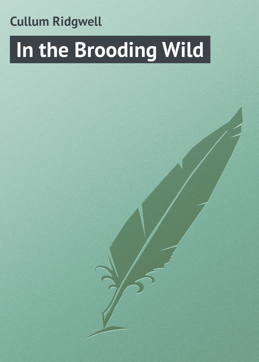Книга In the Brooding Wild из серии , созданная Ridgwell Cullum, может относится к жанру Зарубежная классика, Зарубежные приключения. Стоимость электронной книги In the Brooding Wild с идентификатором 23155123 составляет 5.99 руб.